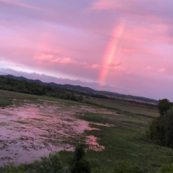 Profile Picture of Mandy Alverson (@alverson1) on Poshmark