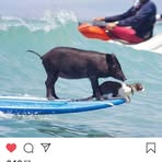 Profile Picture of Jeff Weigand (@jeff.weigand.18) on Facebook