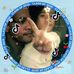Profile Picture of Cristopher Labay (@cristopher.labay) on Facebook