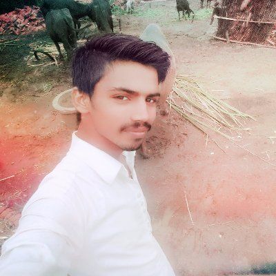 Profile Picture of Sahib_Sachar (@@aaron.womack427) on Tiktok