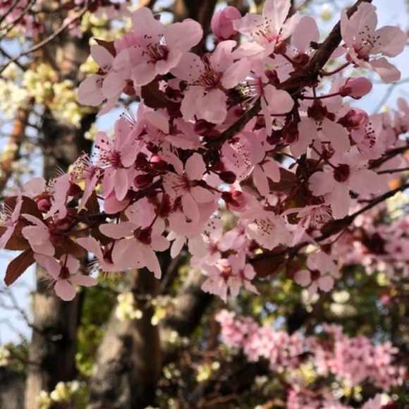 Profile Picture of Bi Nguyen (@xuannguyen884) on Poshmark