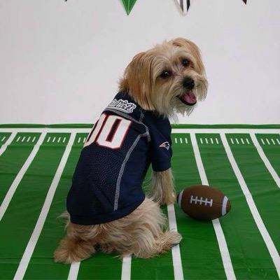 Profile Picture of Brendan Quinlan (@Brendanquinlan2) on Twitter