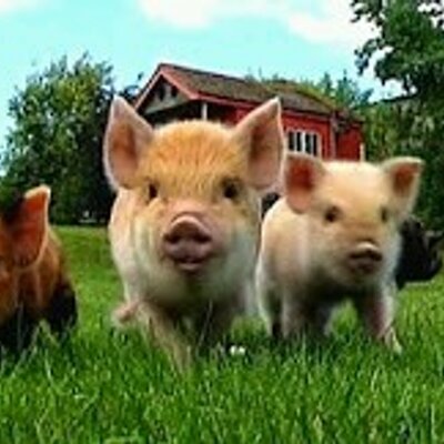 Profile Picture of Nate Birchfield (@legon888) on Twitter