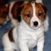 Profile Picture of Craig Witherspoon (@craig.witherspoon.56) on Facebook