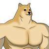 Profile Picture of Daniel (@daniel_mckeown) on Tiktok