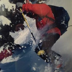 Profile Picture of Andrew Longstreth (@avicontroldog) on Twitter