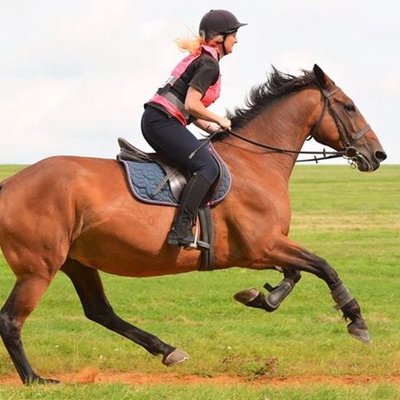 Profile Picture of Paula Murphy (@PaulaMurphy4) on Twitter