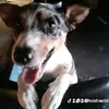 Profile Picture of MichaelStar69 (@michaelstar69) on Tiktok