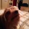 Profile Picture of Carol Kelsall (@carol.kelsall.3) on Facebook