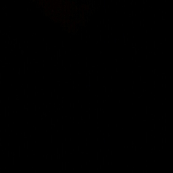 Profile Picture of Amanda Hughes (@amanda68hughes) on Poshmark