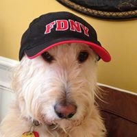 Profile Picture of Geoff Hicks (@geoff-hicks-4) on Quora