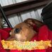 Profile Picture of Crystal Nugent (@crystal.nugent.9674) on Facebook