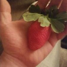 Profile Picture of Matt Wardle (@mattwardle85) on Twitter