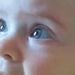 Profile Picture of Jeannine Robertson (@jeanninerdh) on Pinterest