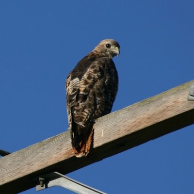 Profile Picture of Dave Proebstel (@Slipstickguy) on Twitter