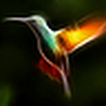 Profile Picture of Francisco Javier Col?n Salinas (@Francisco Javier ZLN) on Flickr