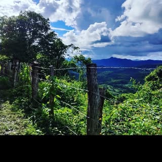 Profile Picture of Michael Rogel (@rogelmichael) on Instagram