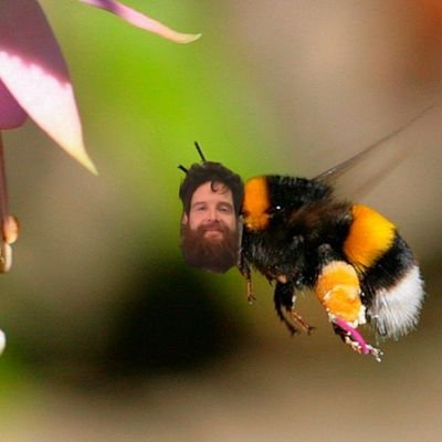 Stephen Millar - Twitter Profile Picture of Stephen Millar (@smarttrumpet) on Twitter