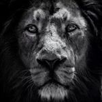 Profile Picture of Jerrold Johnson (@johnsjjj123) on Instagram