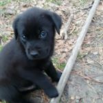 Profile Picture of Braxton Hicks (@braxtonhicks) on Instagram