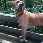 Profile Picture of Jeff Gillett (@jeff.gillett) on Instagram