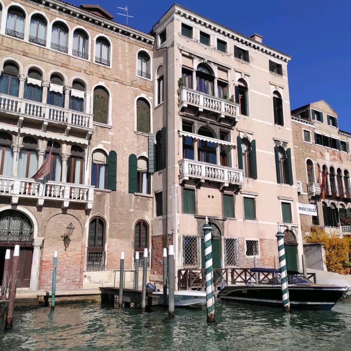 Profile Picture of micheledenigris7 (@micheledenigris7) on Tiktok