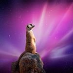 Profile Picture of Paul Jiggens (@pauljiggens) on Instagram