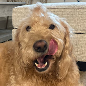 Profile Picture of James Leath (@JamesLeath2) on Youtube