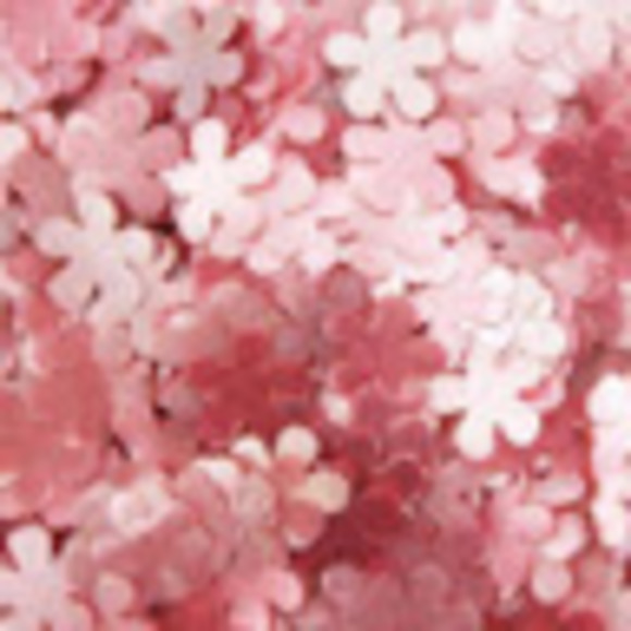 Profile Picture of Evelyn Bloyer (@eevi_) on Poshmark