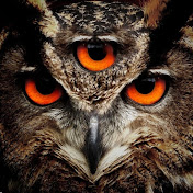 Profile Picture of Zachary Knutson (@zacharyknutson1997) on Youtube