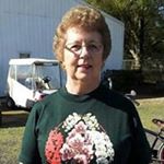 Profile Picture of Diane Ayers (@ayersd) on Instagram