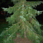 Profile Picture of Paul Hurtubise (@photophurt) on Instagram