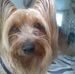 Profile Picture of Lea Chaffin (@lea.chaffin.3) on Facebook