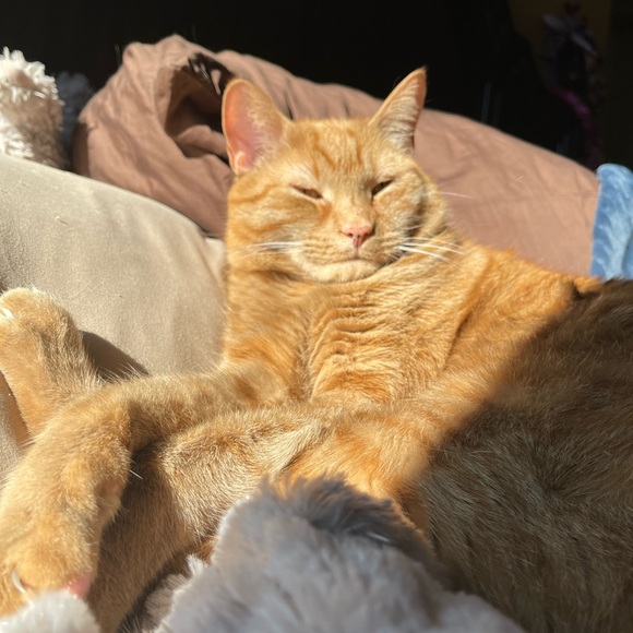 Profile Picture of Kyle Martin (@kylehm) on Poshmark