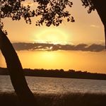 Profile Picture of Scott Zoellner (@shzoellner) on Instagram