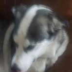 Profile Picture of Johnathan Beauman (@johnathan.beauman.1) on Facebook