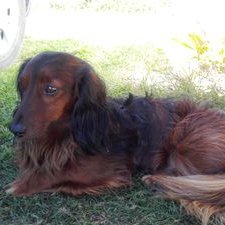 Profile Picture of R.o Pto.v (@richardoy1975) on Twitter