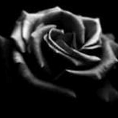 Julie Wilkerson - Twitter Profile Picture of Julie Wilkerson (@cwilkerson882) on Twitter