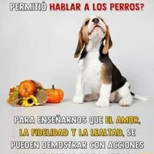 Profile Picture of Juan Carlos Bonell Caviedes (@juan_bonell) on Twitter