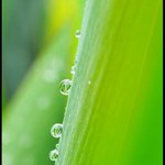 Profile Picture of Macie Humphrey (@maciehumphrey) on Instagram