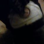 Profile Picture of Lorna Barry (@chocolatelorna123) on Instagram