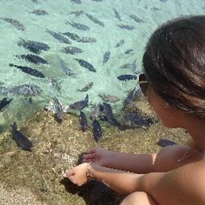 Profile Picture of Lilian Alves (@LilianSabino5) on Twitter