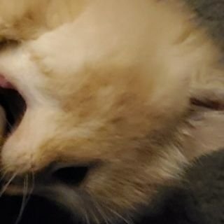 Profile Picture of ChayMcClay (@ClayChay) on Twitter