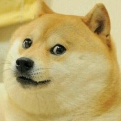 Profile Picture of Matt Garside (@OfficiallyDoge) on Twitter