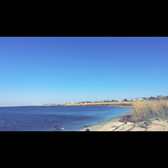 Profile Picture of Josephine Rizzuto (@jrizzuto326) on Poshmark