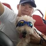 Profile Picture of Benjamin Soh (@soh.benjamin) on Instagram