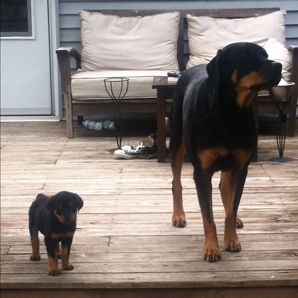 Profile Picture of Sami Scott (@samiscott2012) on Poshmark