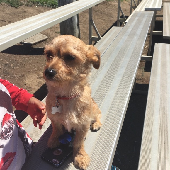 Profile Picture of Arely Sanchez (@xadanlyx) on Poshmark