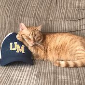 Profile Picture of Steve Beyer (@stevebeyer9681) on Youtube