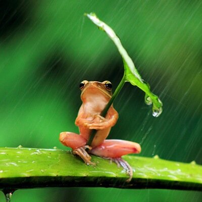 Profile Picture of Kate MacKenzie (@mumeasy) on Twitter